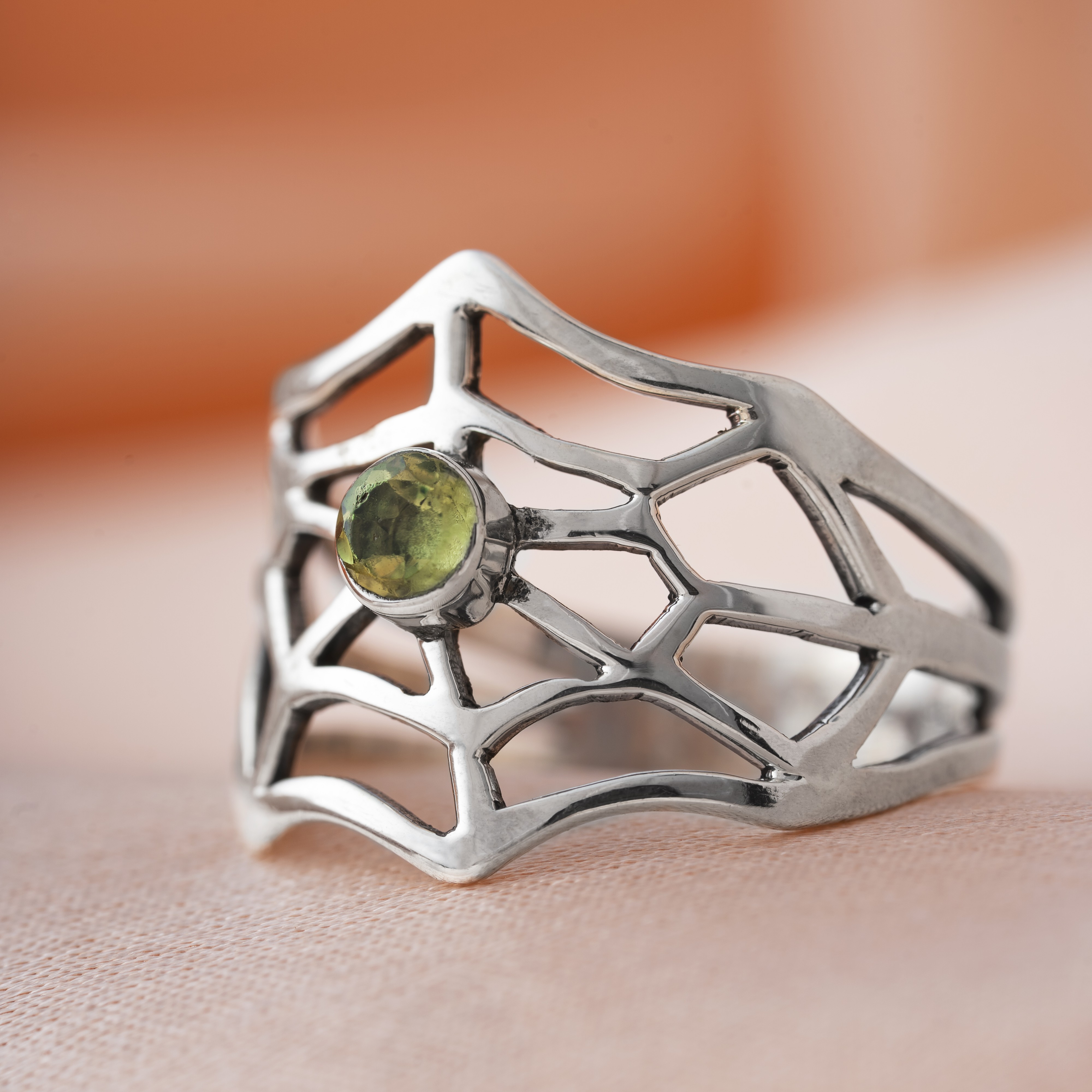 Spider Web Ring